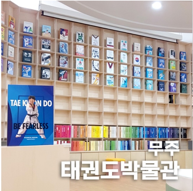 태권도띠 규정