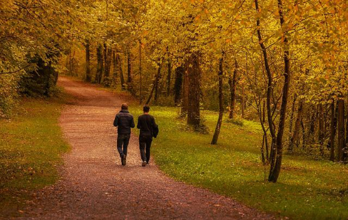 가을 숲 길을 걷고 있는 남성 두명