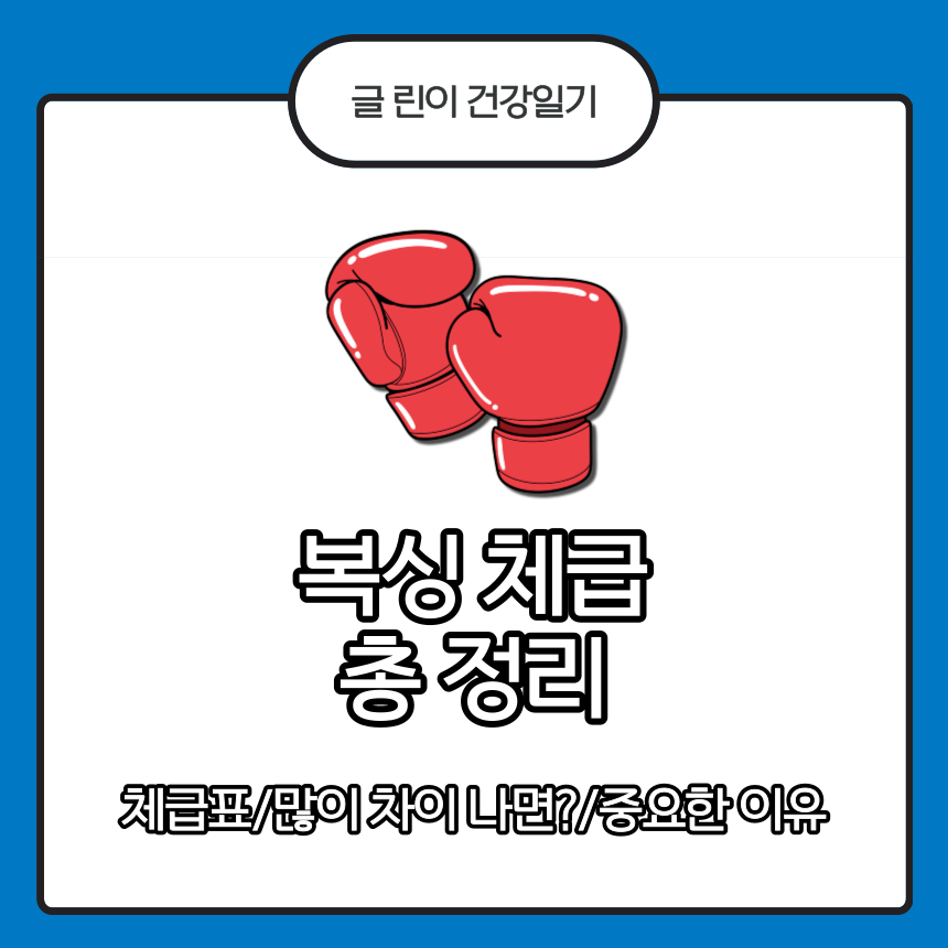  복싱 체급 총 정리