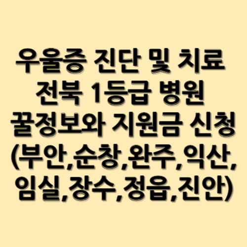 우울증 진단 및 치료 전북 1등급 병원 꿀정보와 지원금 신청(부안,순창,완주,익산,임실,장수,정읍,진안)