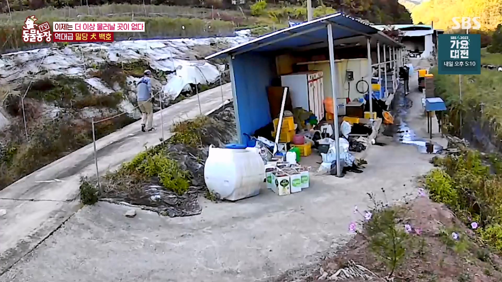 TV 동물농장.E1151.231224p-NEXT.mp4_20231224_154140.618.jpg