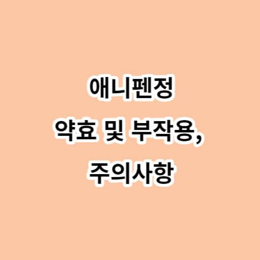 애니펜정-약효-부작용-주의사항