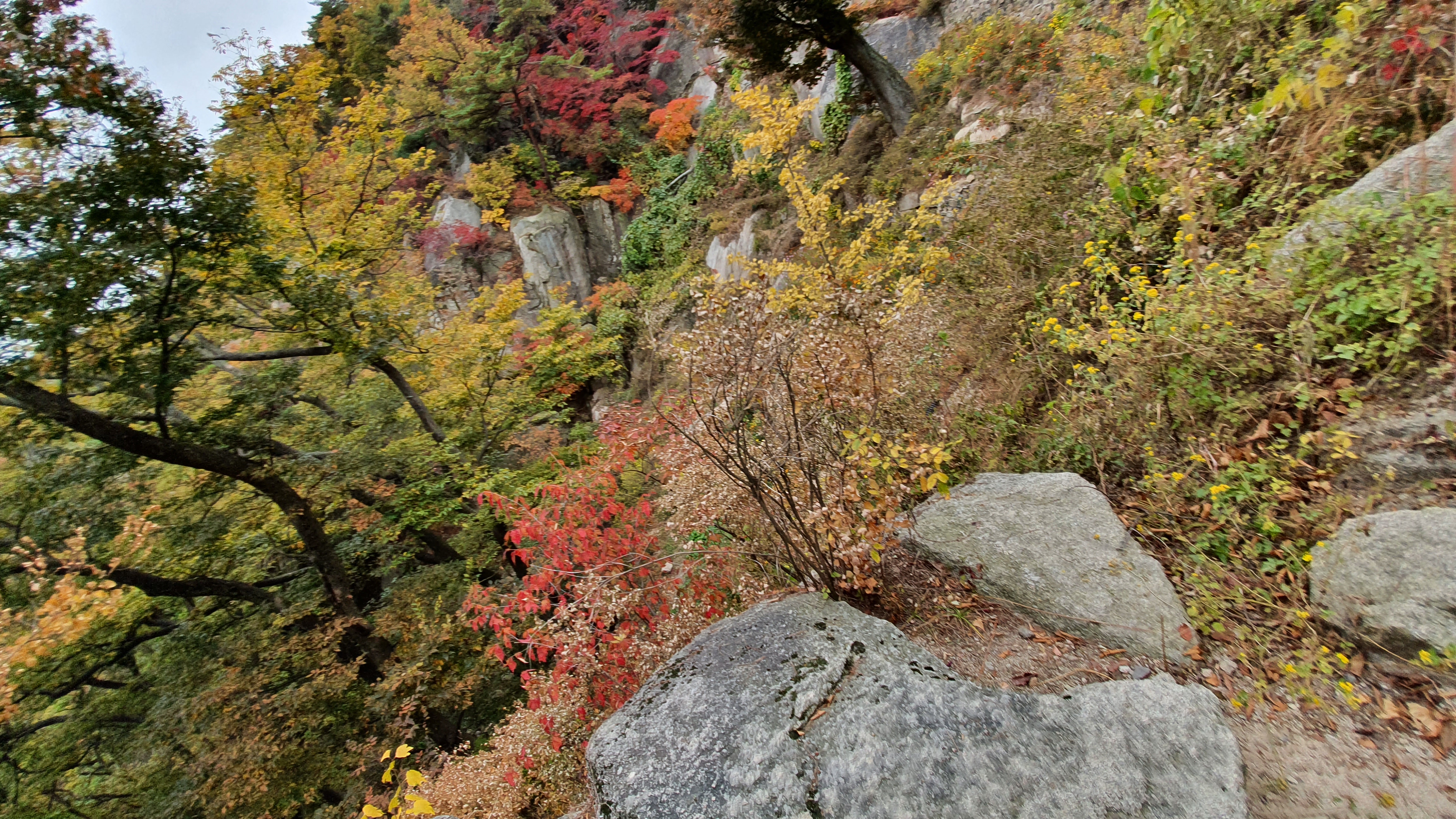 북한산 (2020-10-21) 29