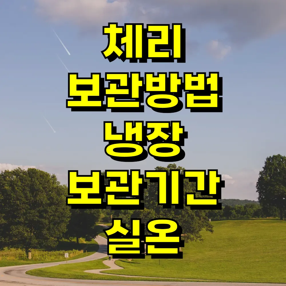 체리 보관방법 냉장 보관기간 실온