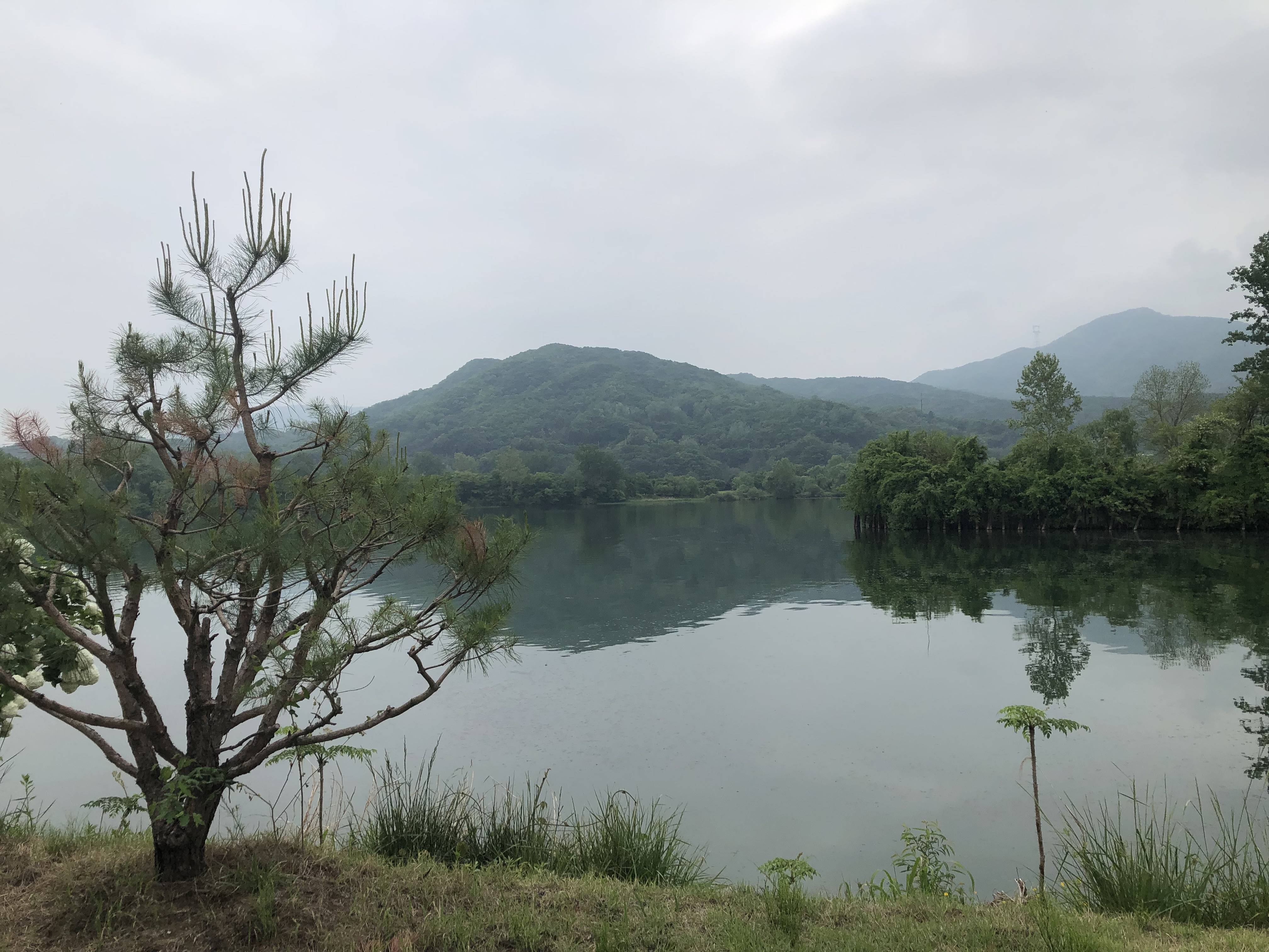  [서울 근교 드라이브] 코로나로 답답해? 양평의 힙플레이스로 가자.