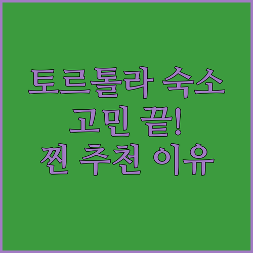 토르톨라 숙소 고민 끝! Villag