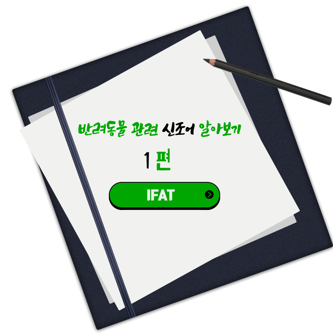  반려동물 관련 신조어 알아보기 1편