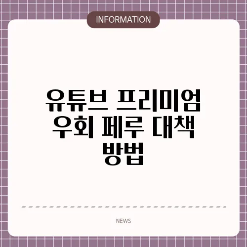 유튜브 프리미엄 우회 페루 대책 방법