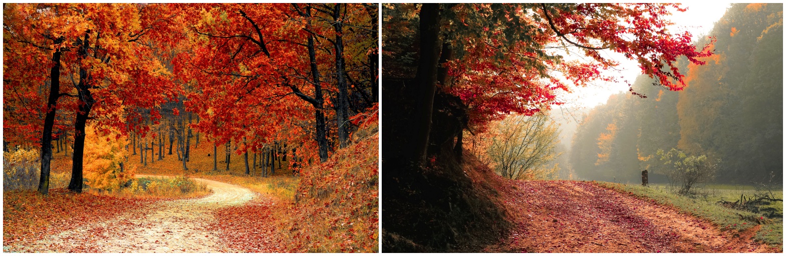 가을사진들 입니다.