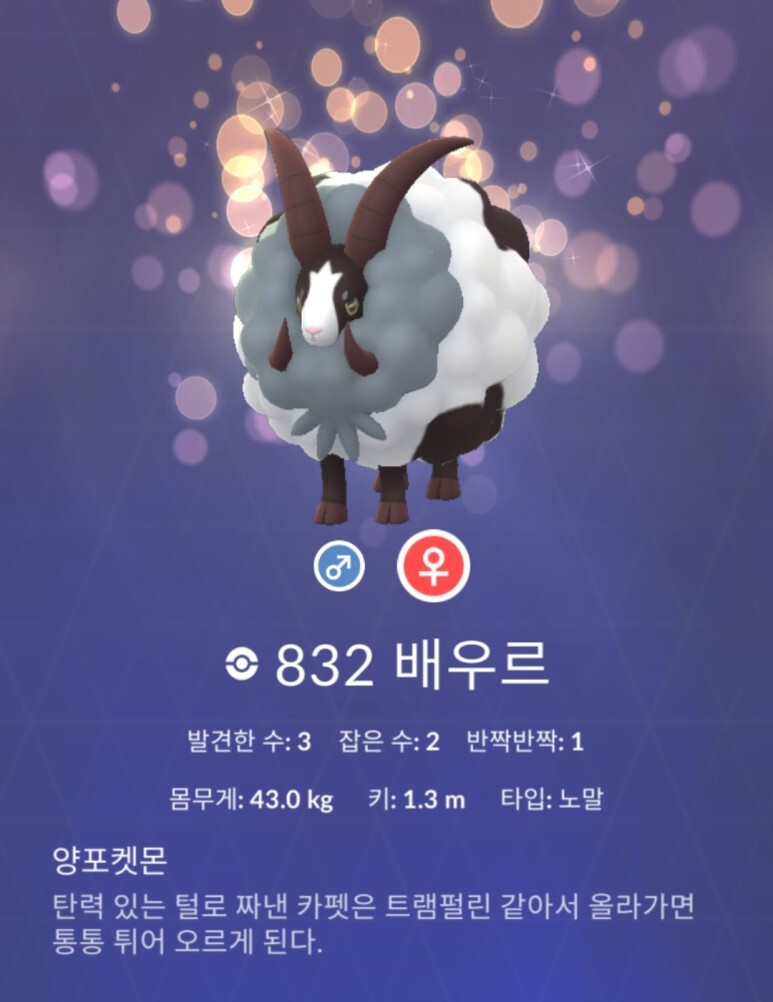 우르 이미지