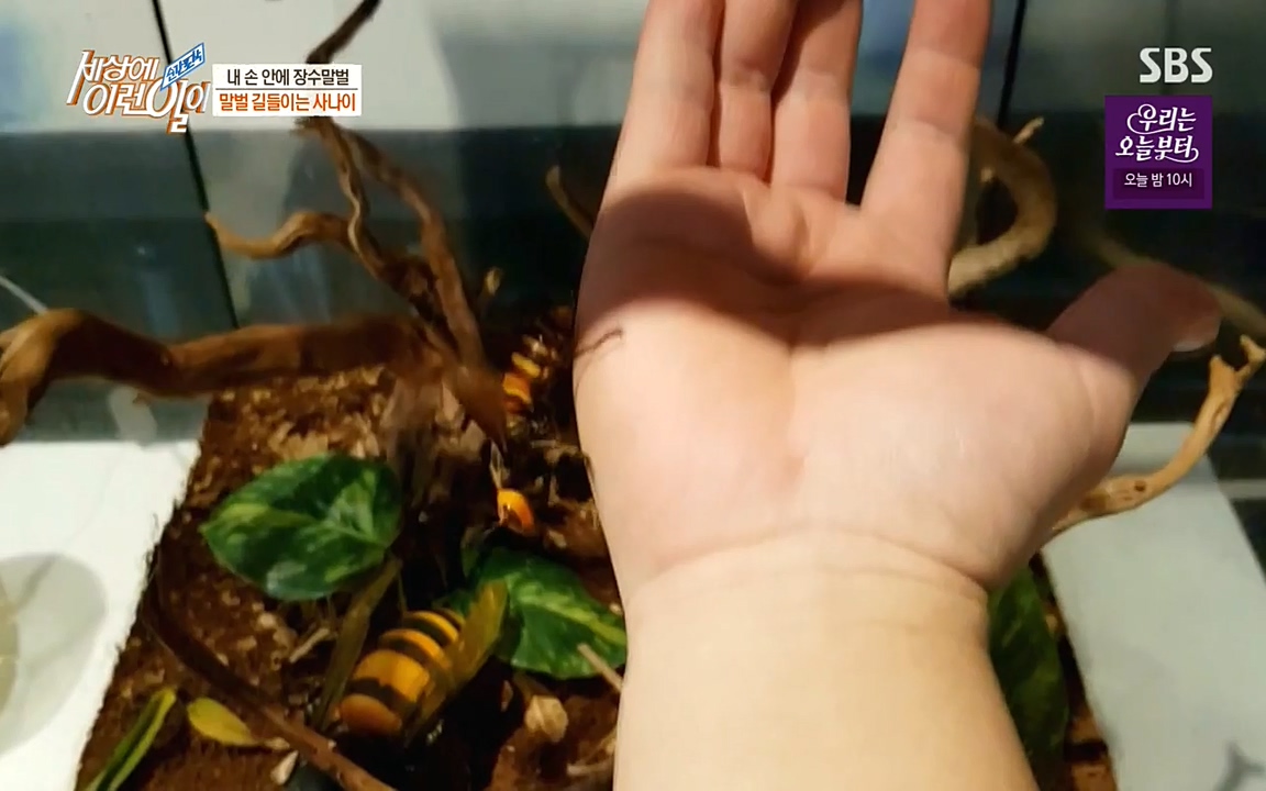 순간포착 세상에 이런일이.E1180.220518p-NEXT.mp4_20220518_180506.376.jpg
