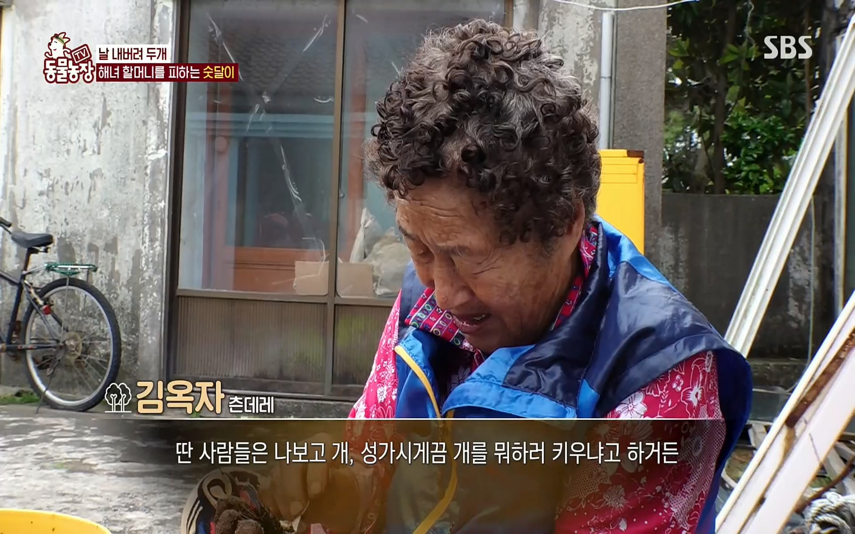 TV 동물농장.E1073.220612p.H264-F1RST.mp4_20220612_181359.715.jpg