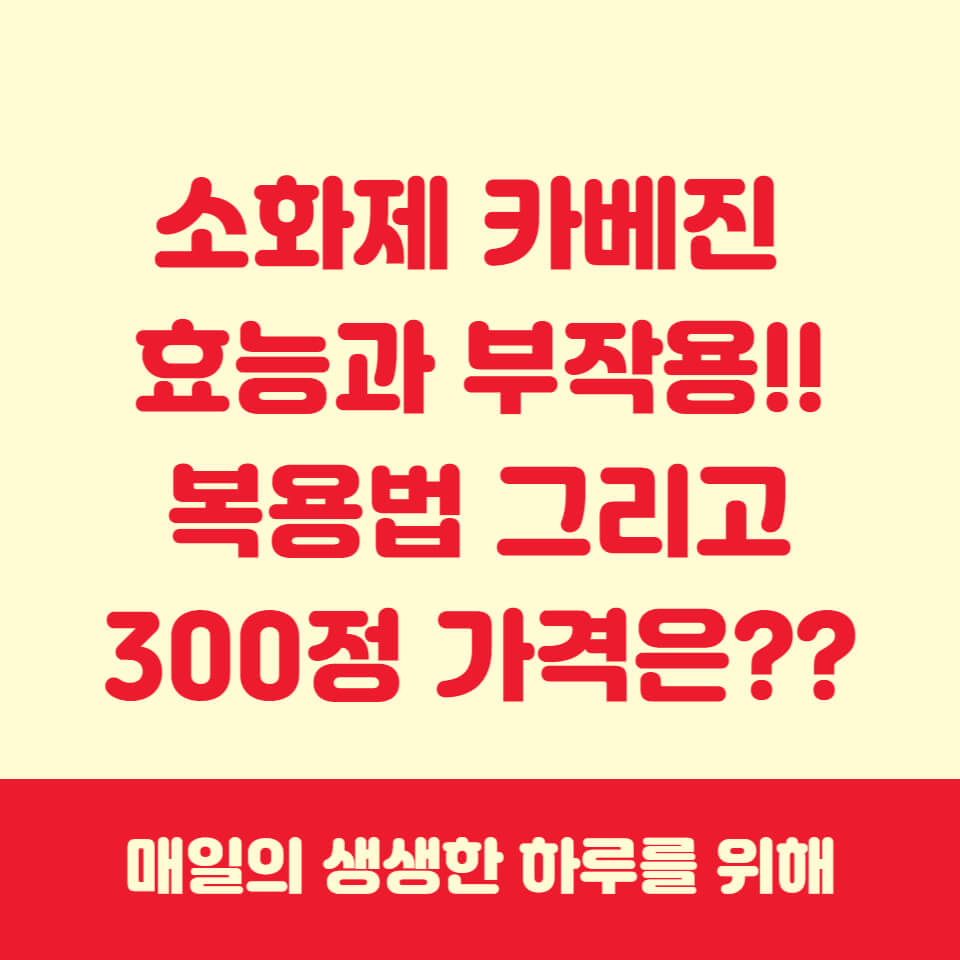 카베진 효능