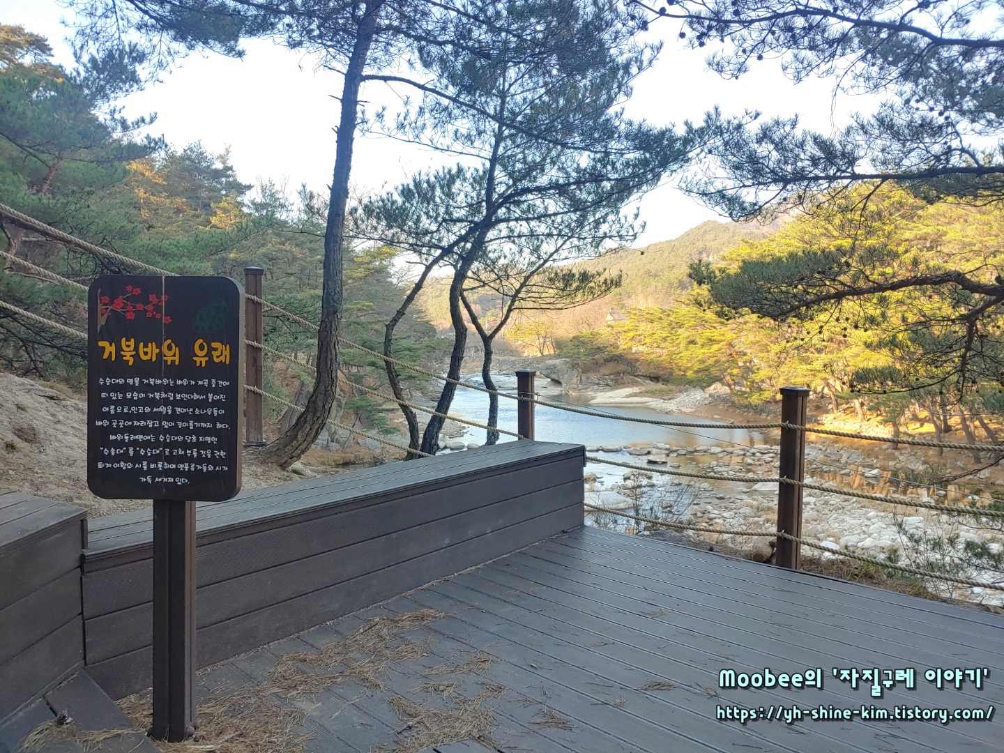 거창 수승대 거북바위 유래