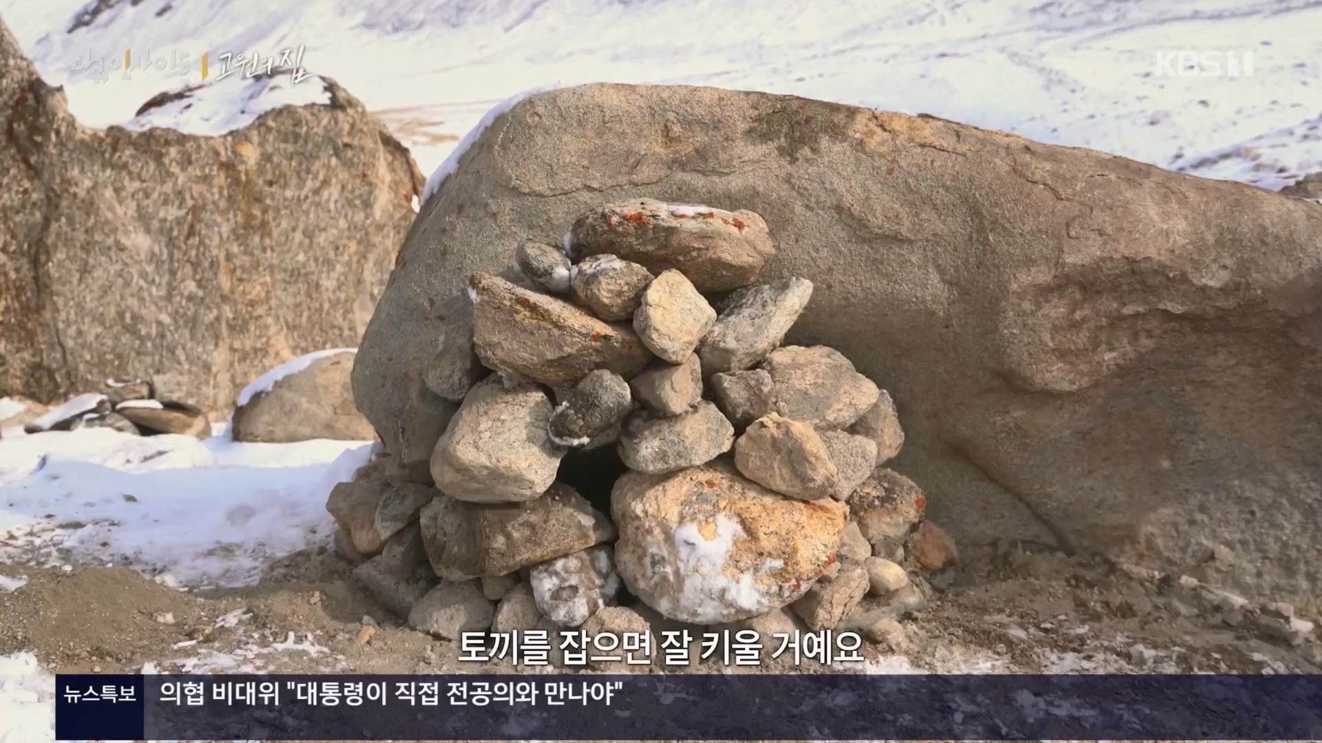 다큐 인사이트.E176.240328p.H264-F1RST.mp4_20240330_161058.737.jpg