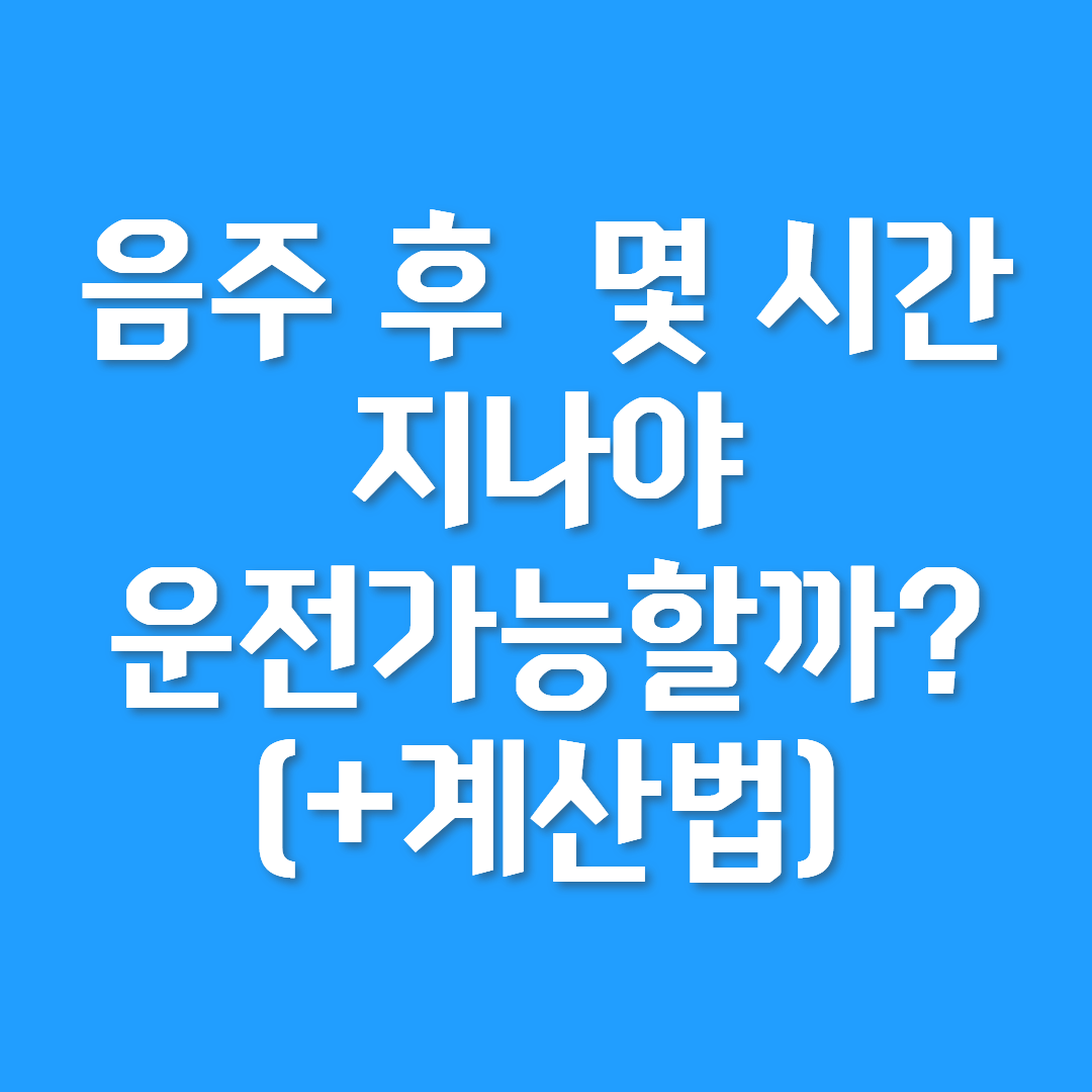 음주 후 몇 시간 지나야 운전가능할까?(+계산법)
