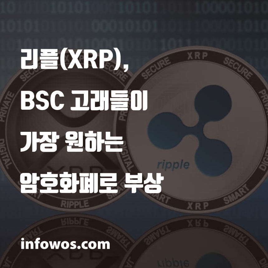  <리플(XRP) 소식> 리플, BSC 고래들이 가장 원하는 암호화폐로 부상