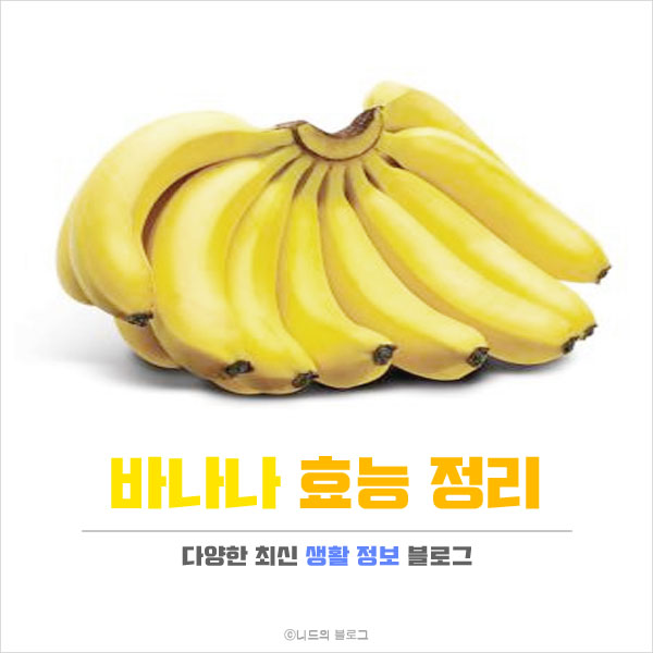  바나나 효능 정리