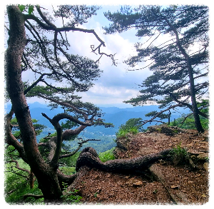 중원산