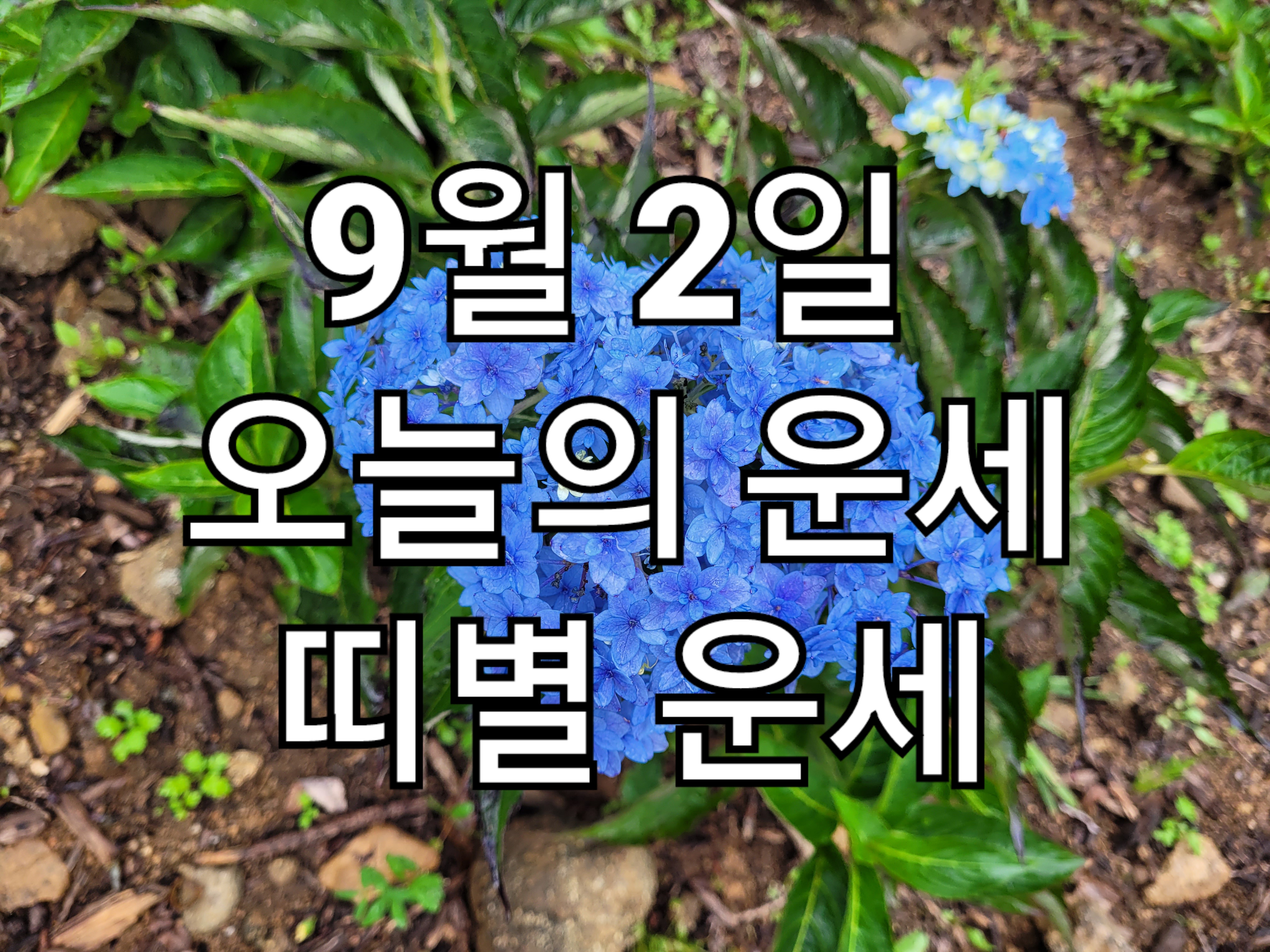  9월 2일 오늘의 운세, 띠별 운세