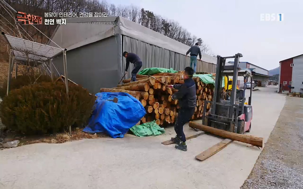 TV - 교육의 중심 EBS봄맞이 인테리어, 천연 소재로 건강을 잡아라.mp4_20220514_192339.321.jpg