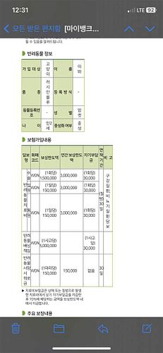 고양이 보험