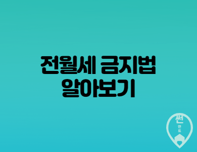  분양아파트 전월세금지법 시행