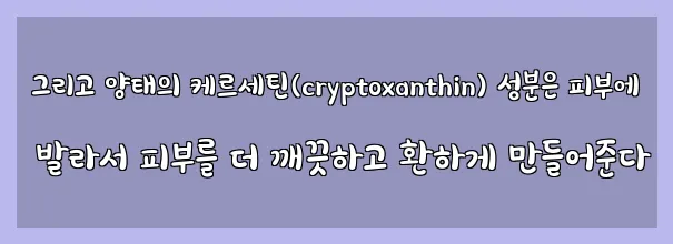  그리고 양태의 케르세틴(cryptoxanthin) 성분은 피부에 발라서 피부를 더 깨끗하고 환하게 만들어준다