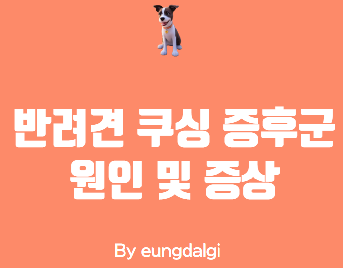  반려견 쿠싱 증후군: 원인, 증상, 진단 및 치료