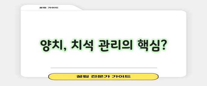 강아지 치석 관리 가이드 효과적인 양치 방법이 중요합니다!