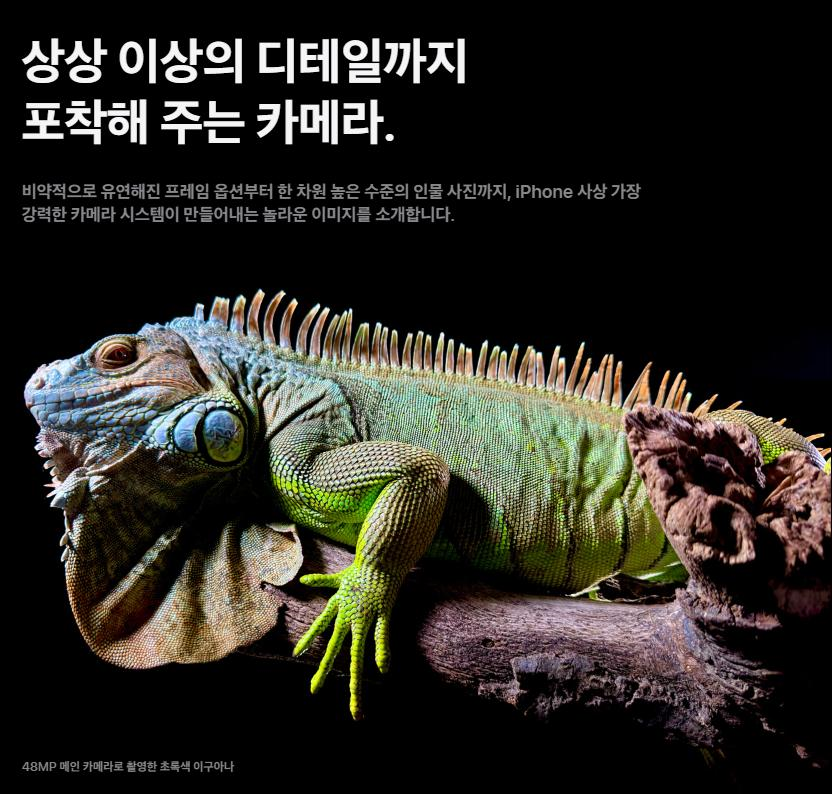 아이폰15-프로-사진-4800만화소