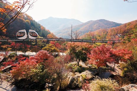 단풍 명소 추천 및 2023년 전국 단풍시기