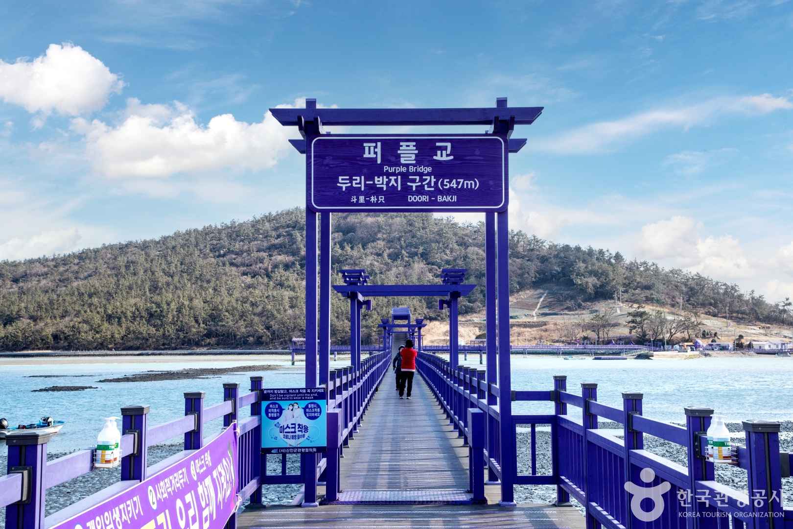 신안 퍼플교