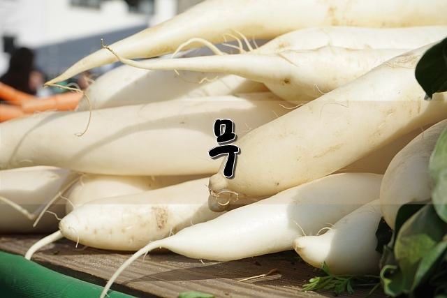 무의 영양, 효능, 고르는 방법 등