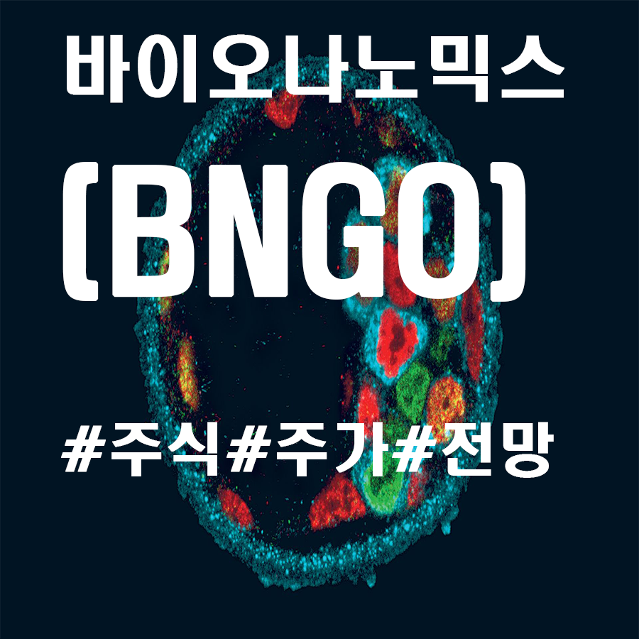  BNGO 주식 주가 및 전망 어떤 회사인지 알고 투자하자