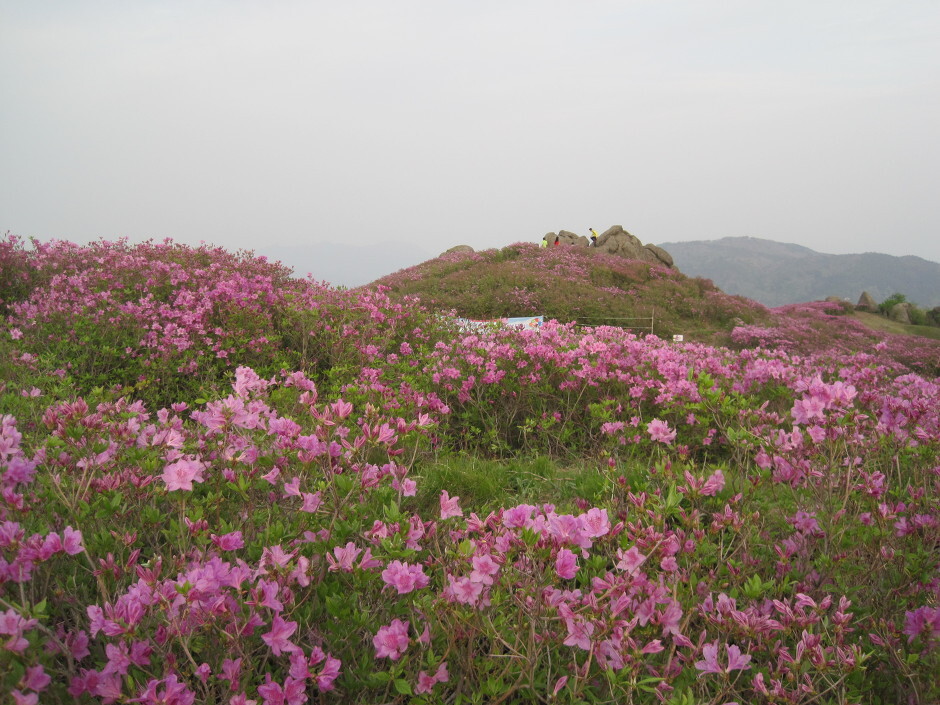  보성 초암산, 주월산, 방장산 [겸백면사무소~초암산~수남주차장]