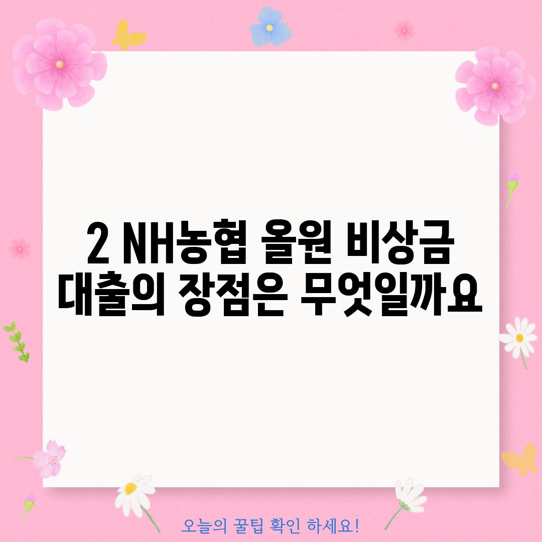 2. NH농협 올원 비상금 대출의 장점은 무엇일까요?