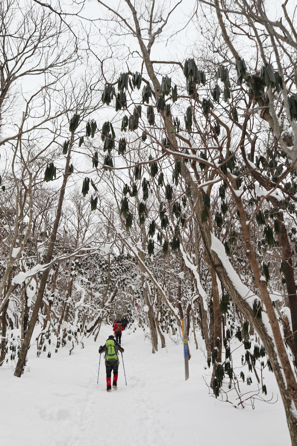 눈쌓인 겨울산 이미지 48