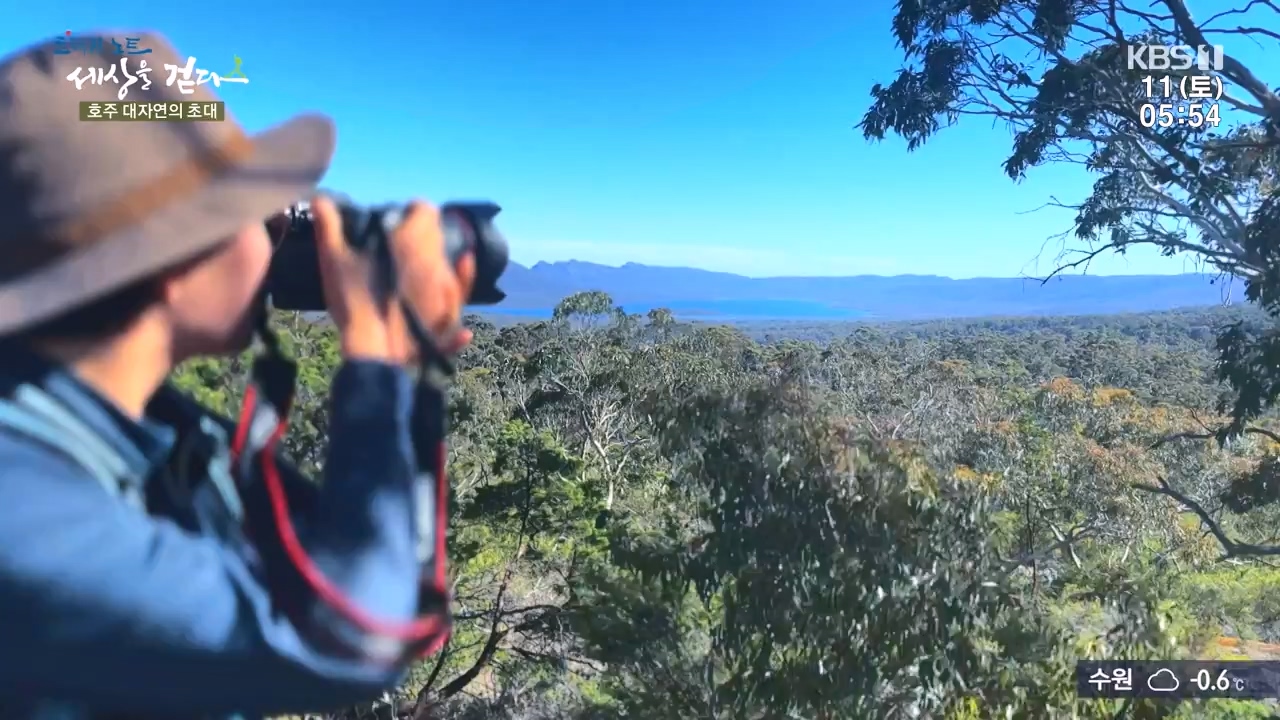 트레킹노트 세상을 걷다.E296.231112p-NEXT.mp4_20231111_182059.396.jpg