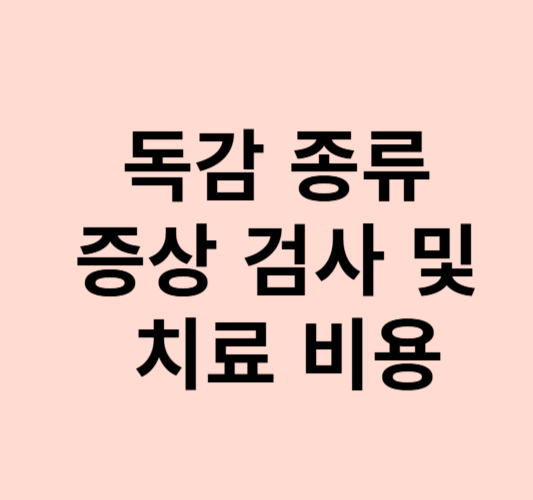 2025년 -현재-유행하는 -독감- 종류- 증상- 검사- 및 치료 -비용-총정리