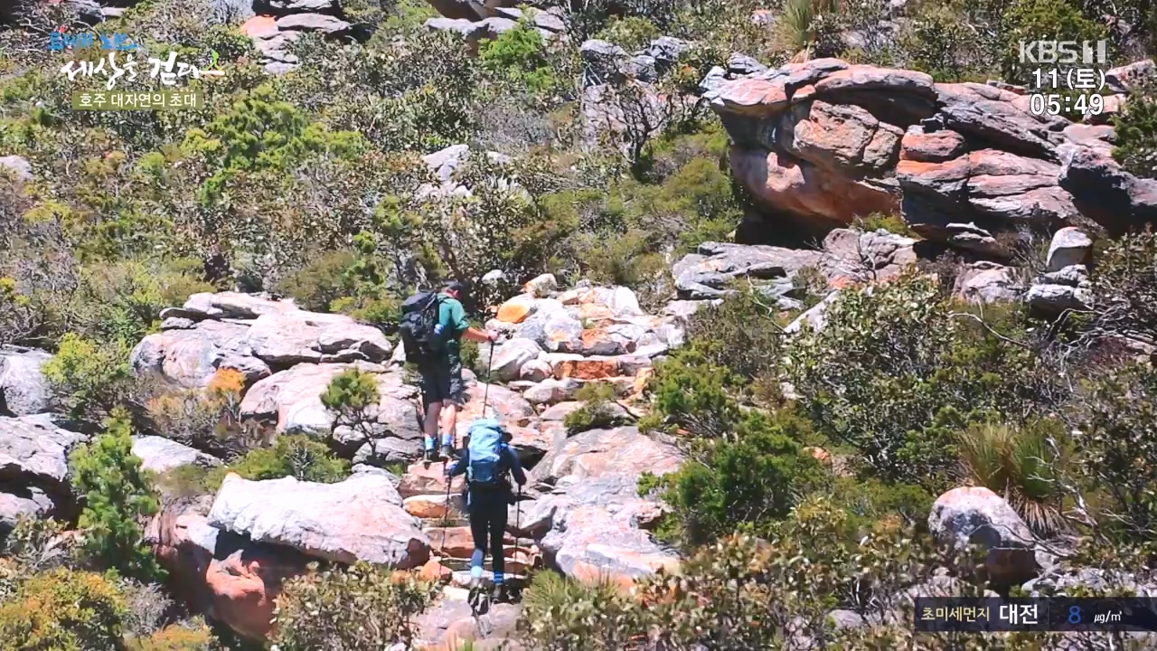 트레킹노트 세상을 걷다.E296.231112p-NEXT.mp4_20231111_182058.011.jpg