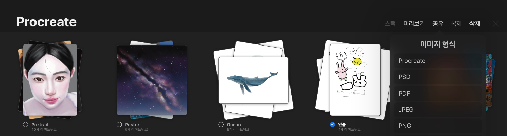 프로크리에이트-갤러리-메뉴설명12