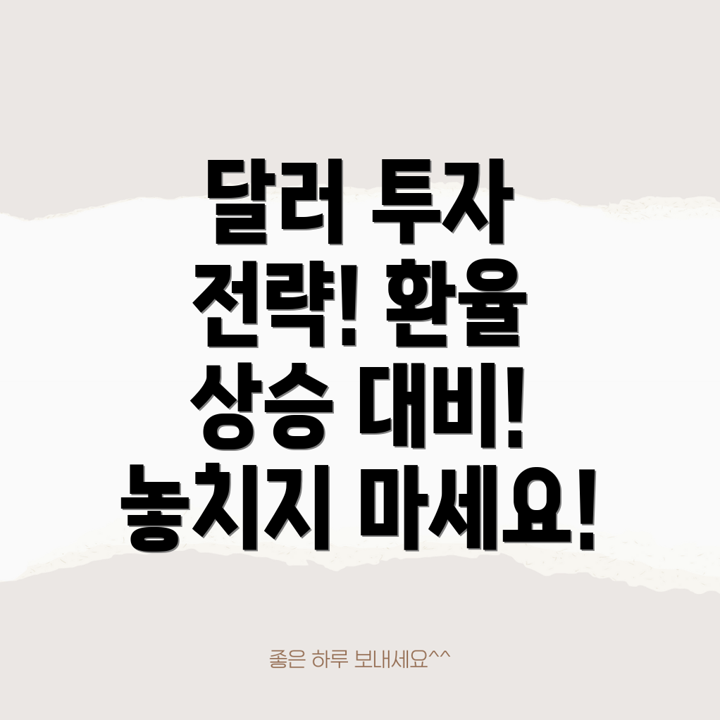 달러투자