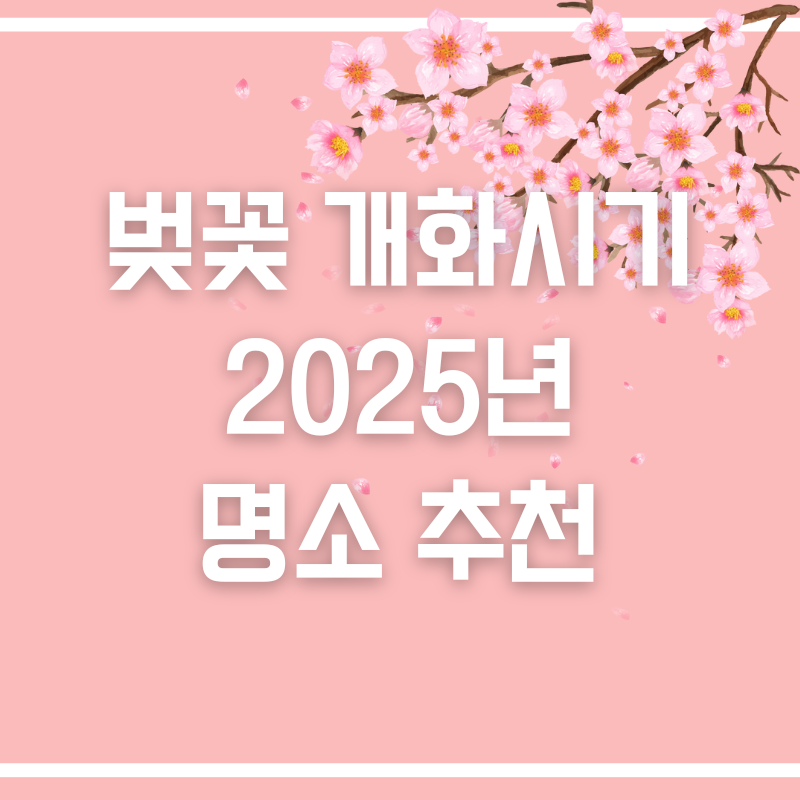 벚꽃 개화시기 2025년 명소 추천