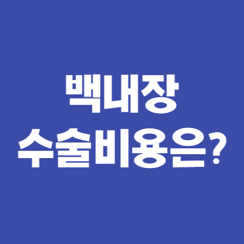  백내장 수술 비용, 회복 기간 모두 알아보기