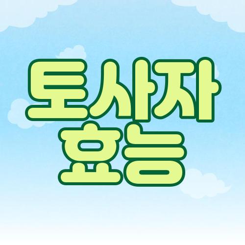 토사자 효능