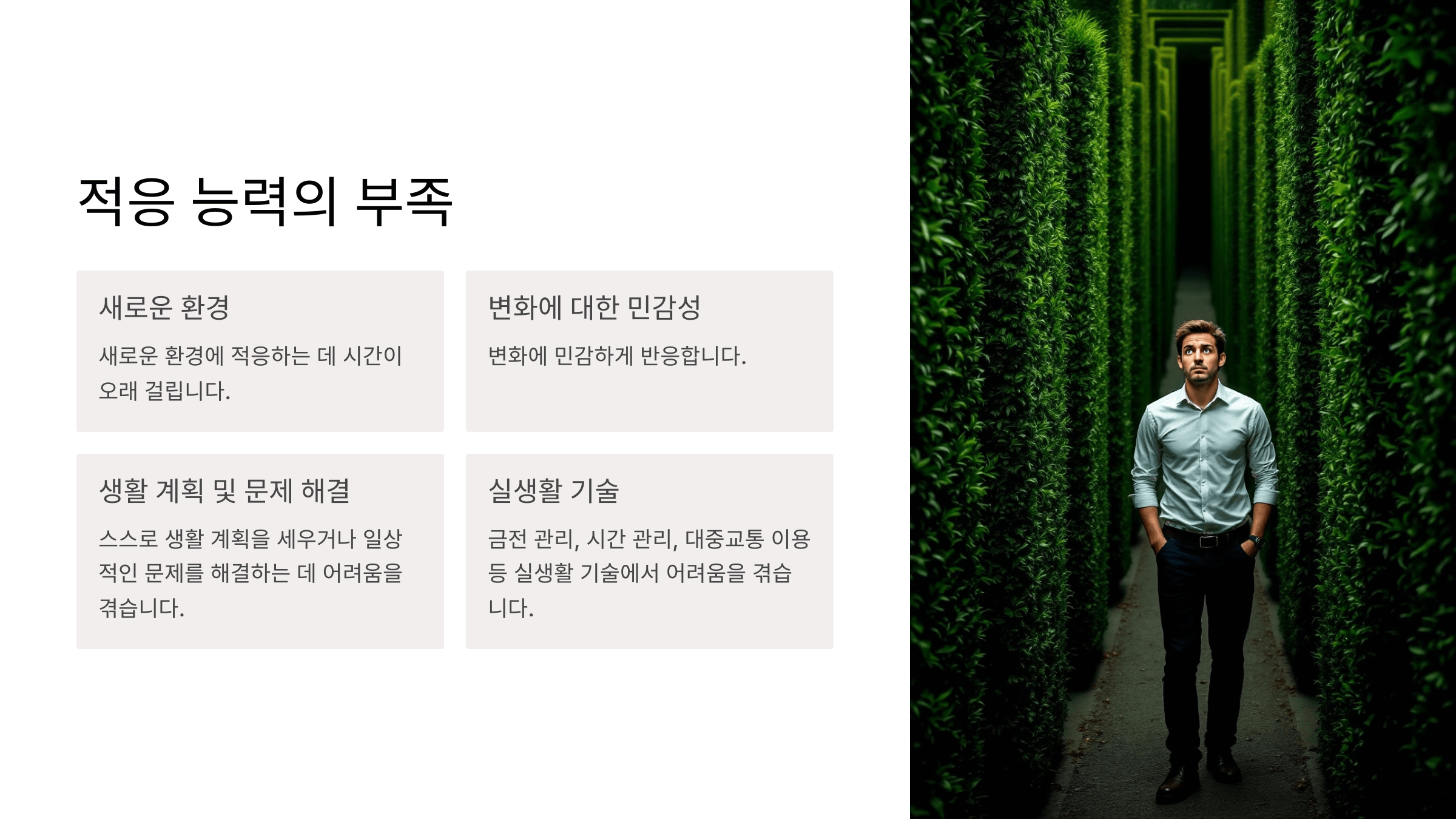 경계성 지능장애와 관련된 사진입니다.