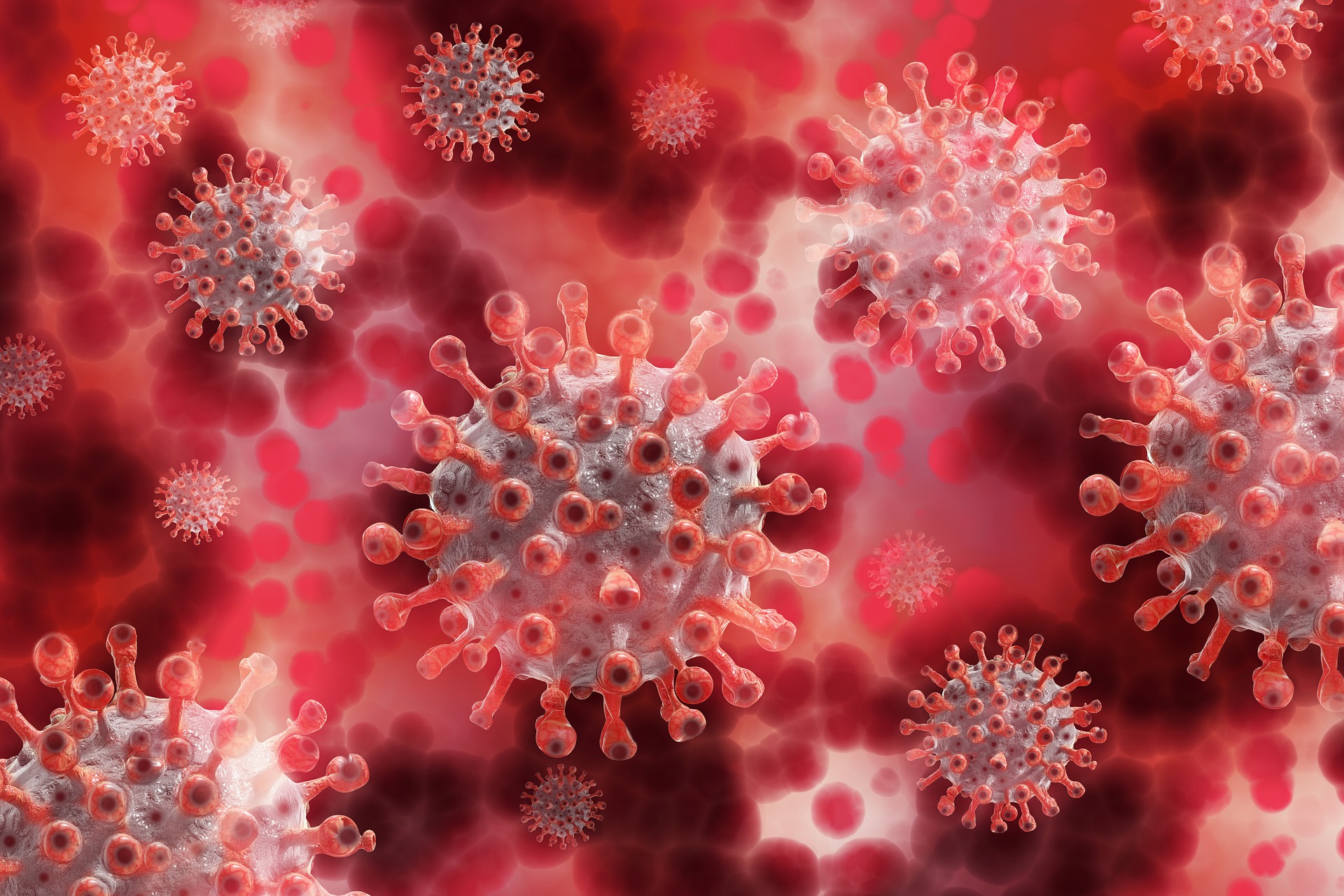 질병을 일으키는 원인 중의 하나인 바이러스들을 형상화한 사진