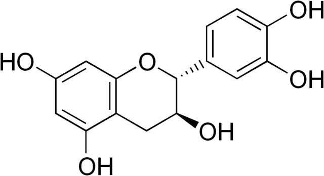 카테킨(Catechin)