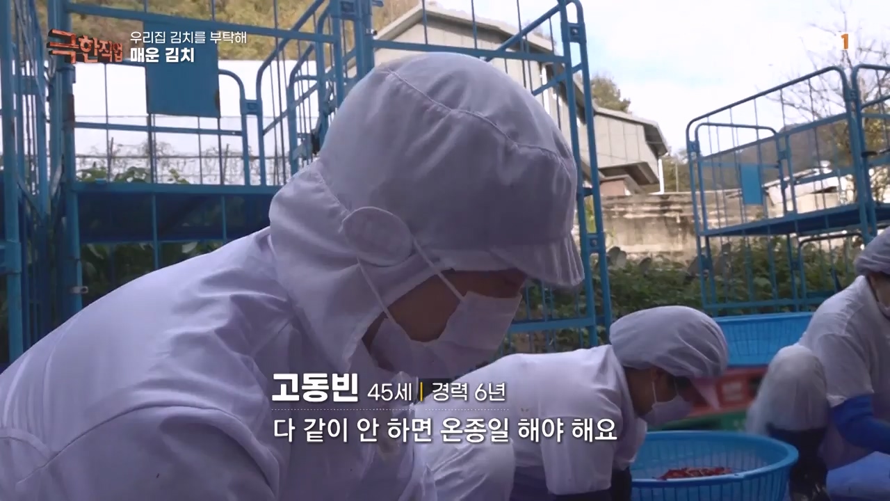 TV - 전 국민의 평생학교 EBS우리 집 김치를 부탁해.mp4_20231228_201815.967.jpg